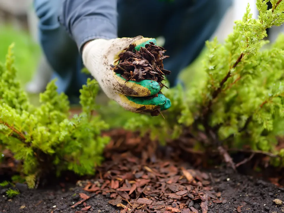 Фото: istockphoto.com