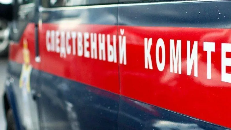 Обезглавленный труп 70-летней старушки нашли в Истре