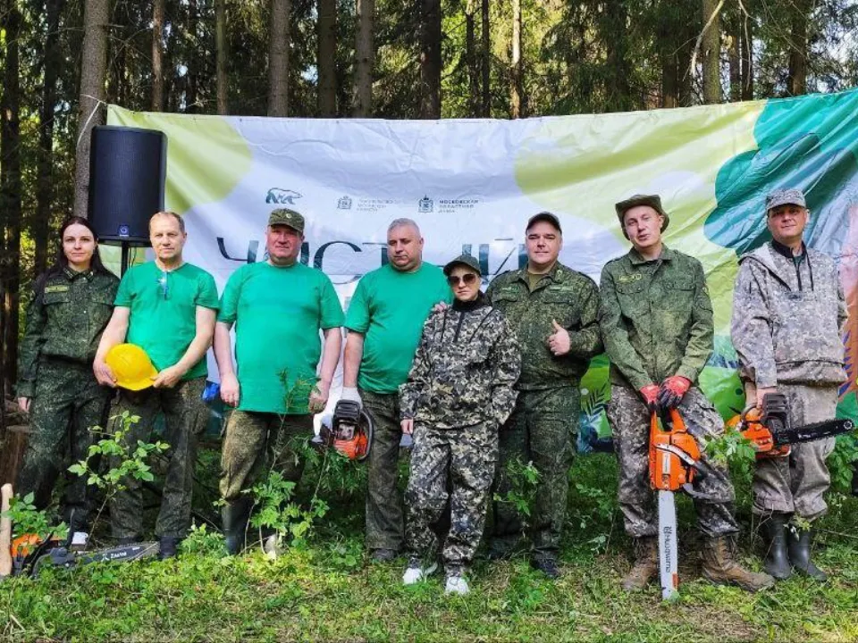 Фото: Комитет лесного хозяйства МО
