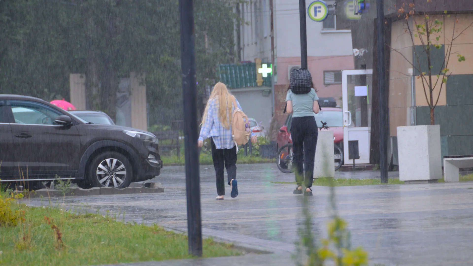 Фото: медиасток.рф