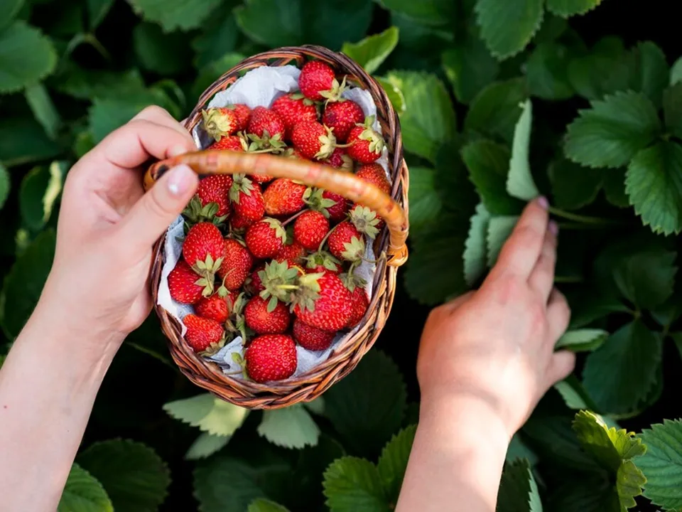 Фото: freepik.com