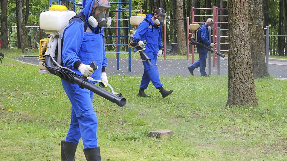 Фото: Дмитрий Беденко