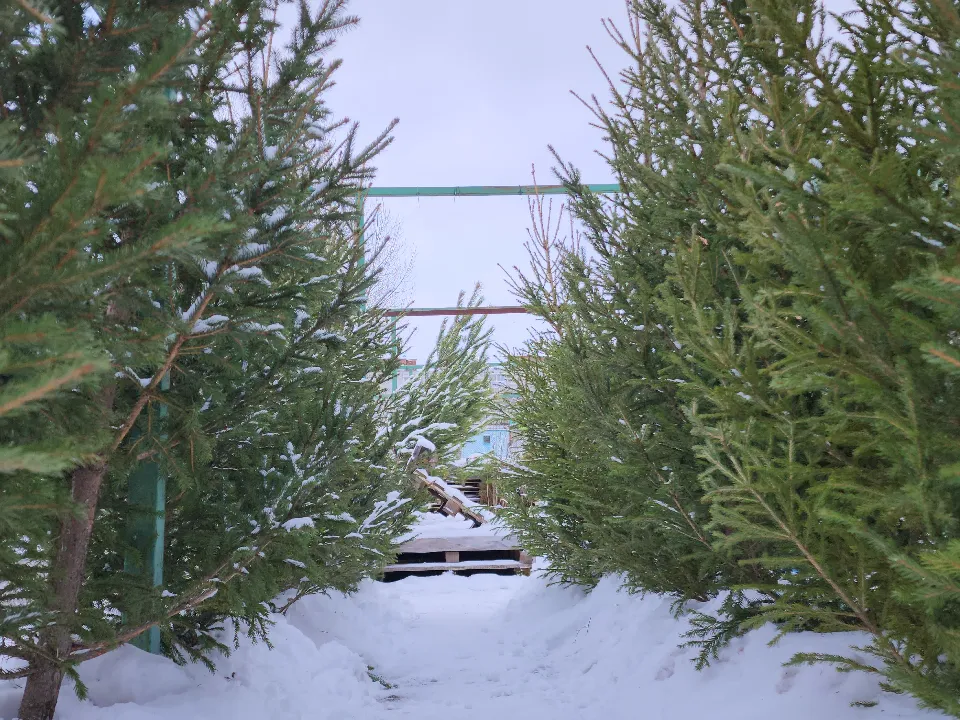 Фото: МедиаБанк Подмосковья/Андрей Семибратов