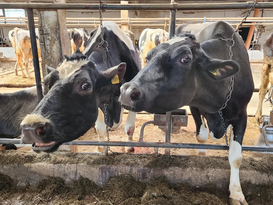 Фото: REGIONS/Роман Кутузов