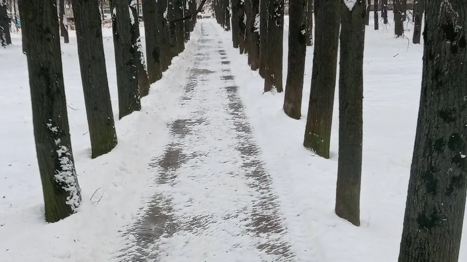 Фото: пресс-служба администрации г.о. Домодедово