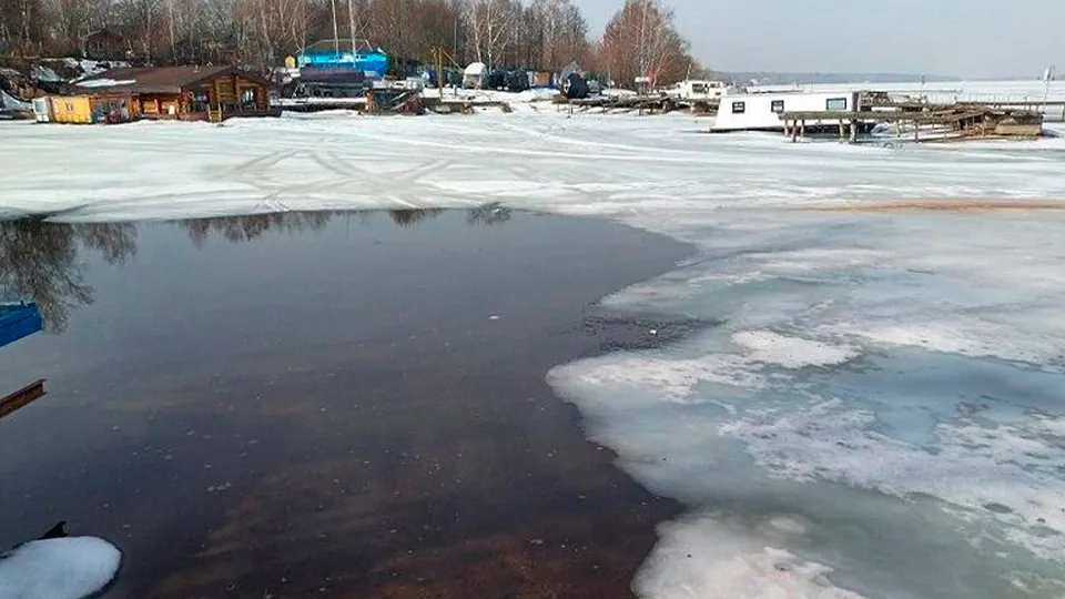 Фото: пресс-служба администрации г.о. Мытищи