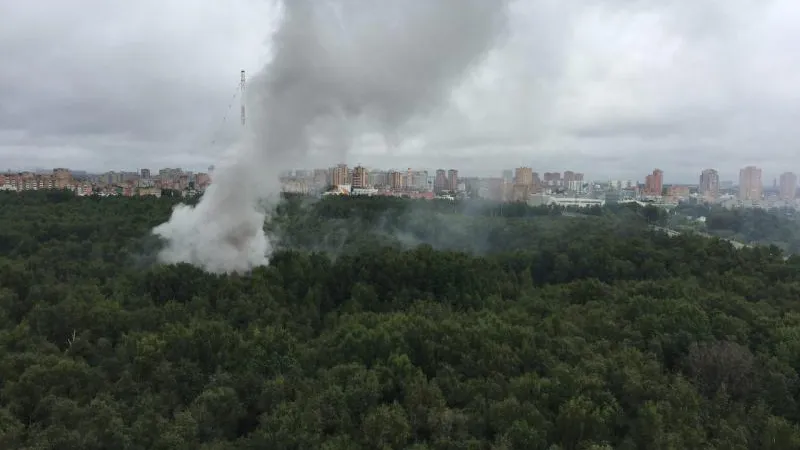 Дым от лесного пожара накрыл деревню в Красногорске