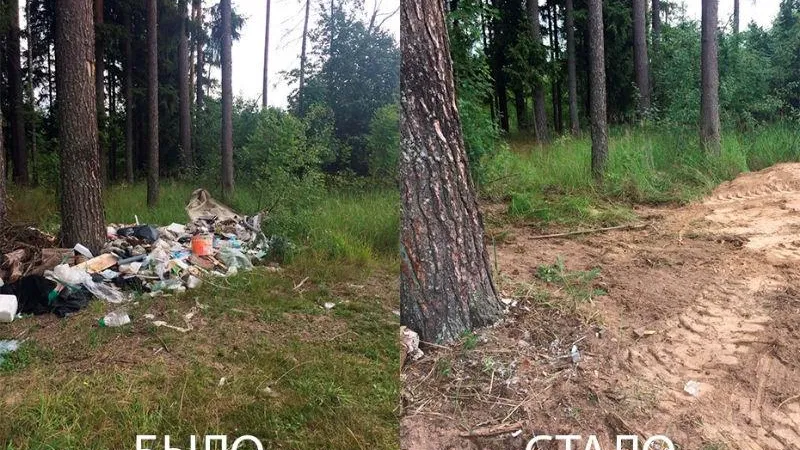 Объем мусора, вывезенного из лесов Подмосковья в 2019 году, превысил 21 тысячу кубометров