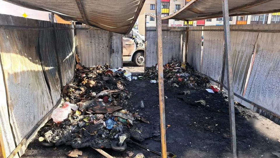 Фото: Богородский медиацентр