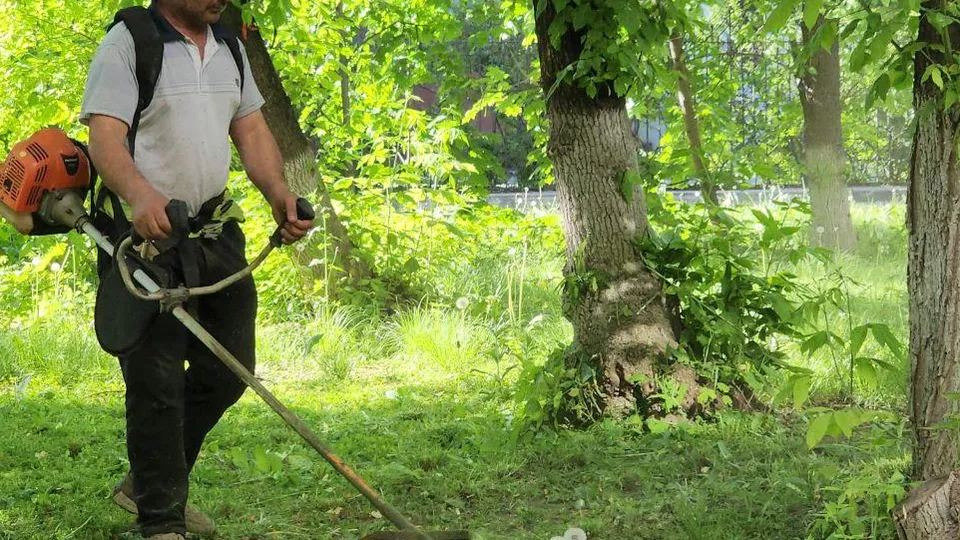 Фото: Наталья Лымарь