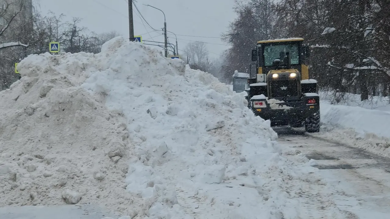 МедиаБанк Подмосковья/Ольга Вельшикаева