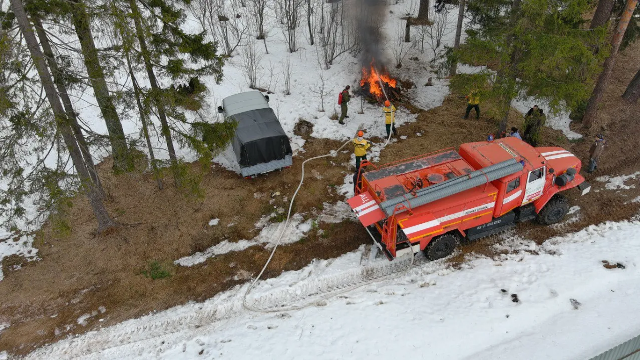 Фото: Комитет лесного хозяйства Московской области