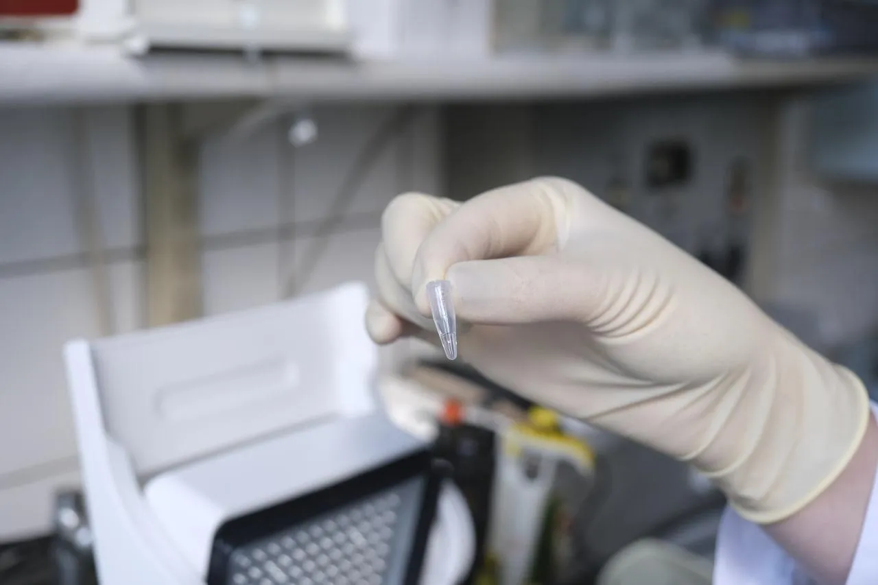 Фото: Мария Панина