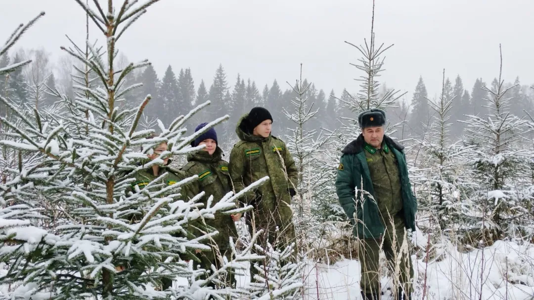 Фото: Комитет лесного хозяйства МО