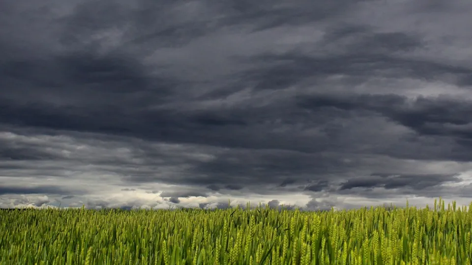 Фото: pxhere.com