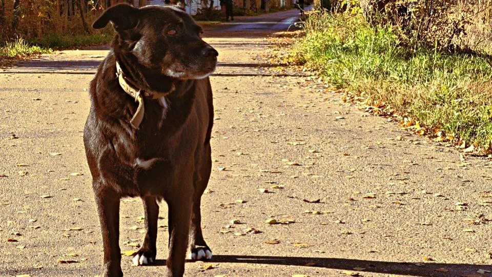 Фото: REGIONS/Максим Зубарев