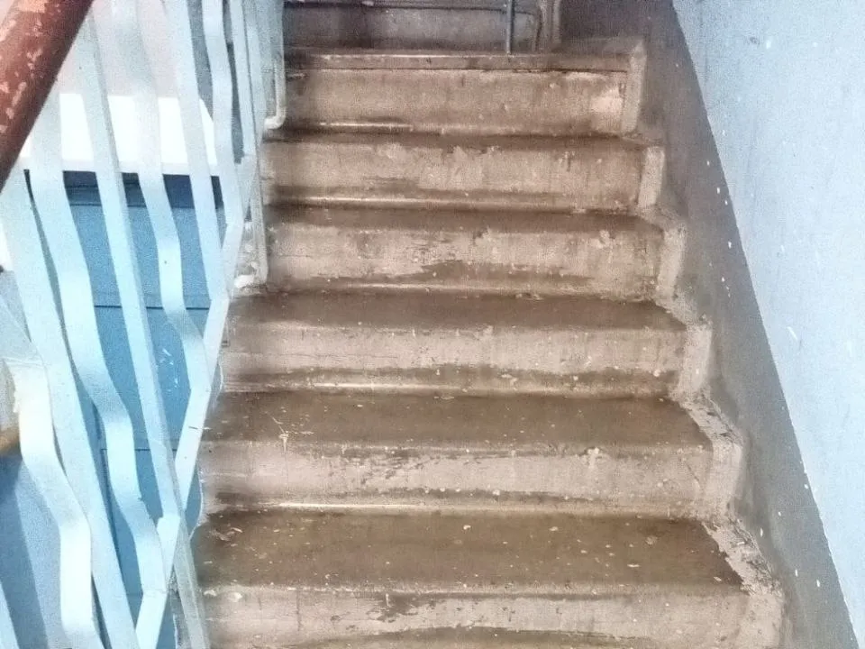 Фото: МЦУР Жуковский