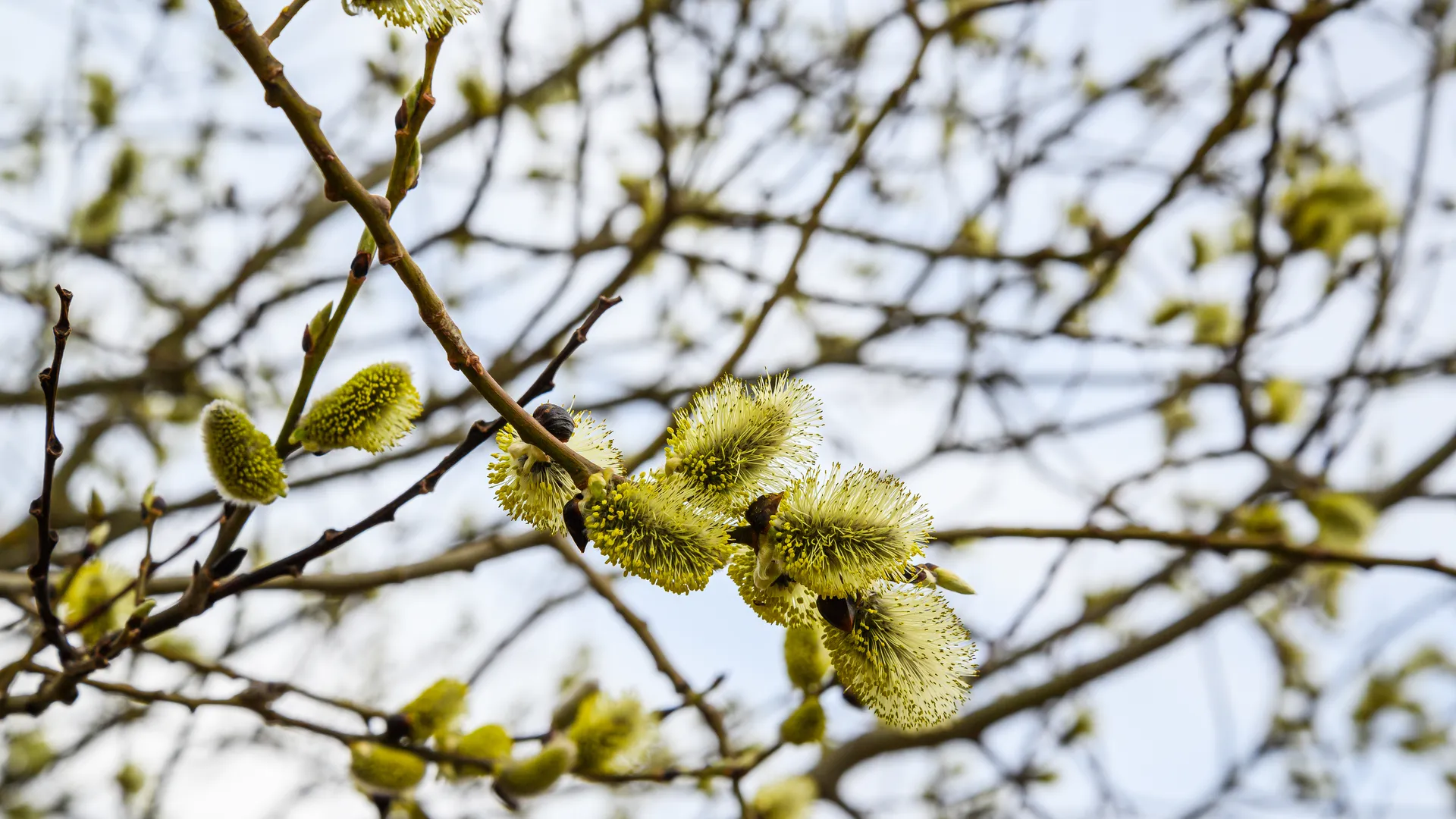 медиасток.рф