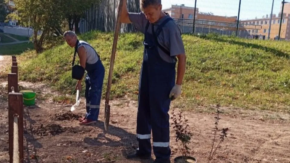 Фото: Telegram/МБУ «Чеховское благоустройство»