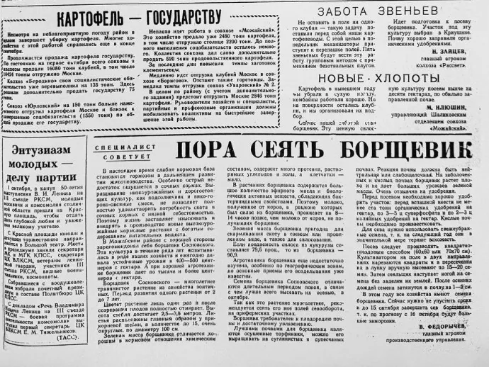 Фото: t.me/vistavotdel