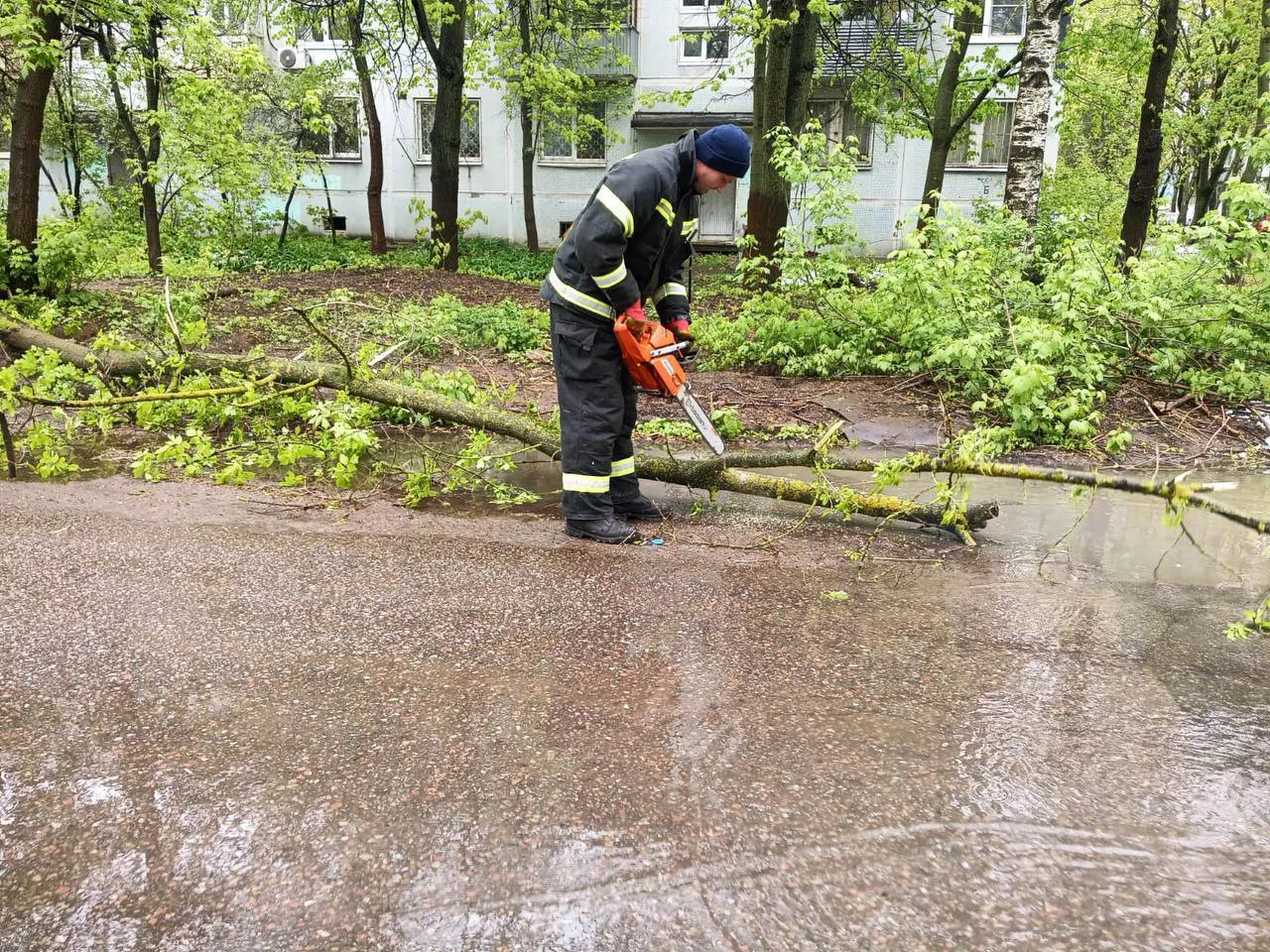 Фото: пресс-служба администрации г.о. Щелково