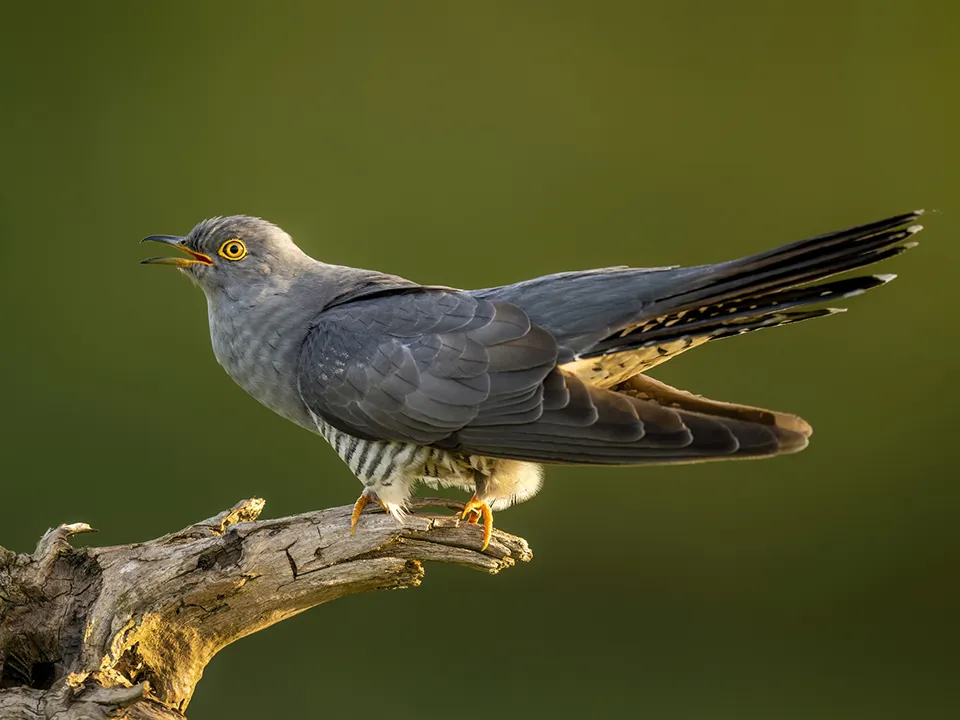 Фото: istockphoto.com