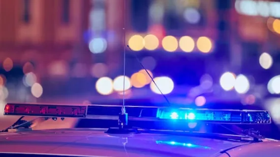 Фото: freepik.com