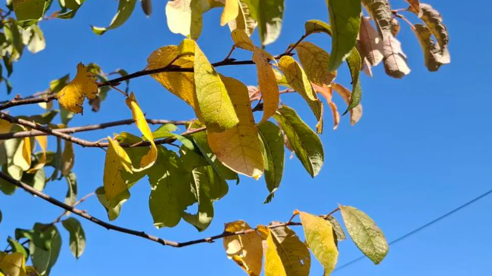 Фото: REGIONS/Юлия Габбасова