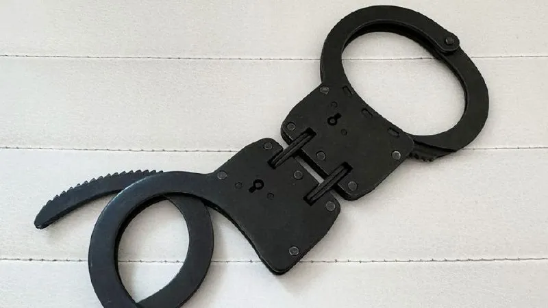 Фото: REGIONS/Александр Смолин