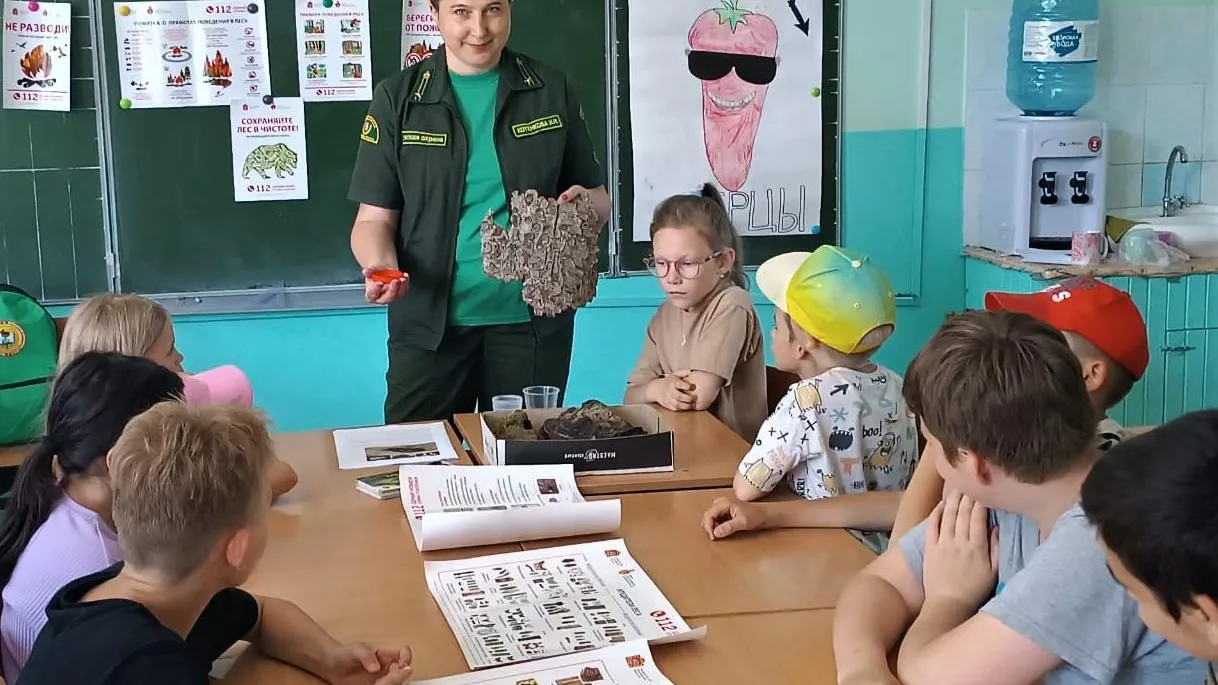 Фото: Комитет лесного хозяйства Московской области