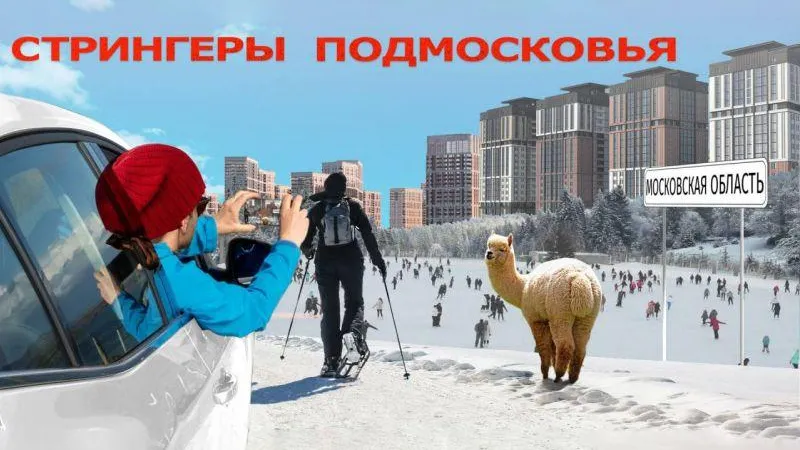 В Подмосковье стартует проект «Стрингеры»! 