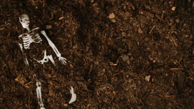 Фото: ru.freepik.com