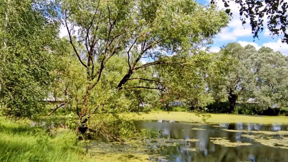 Фото: пресс-служба Администрации г.о. Коломна