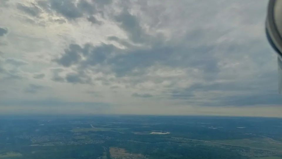 Фото: Комитет лесного хозяйства Московской области