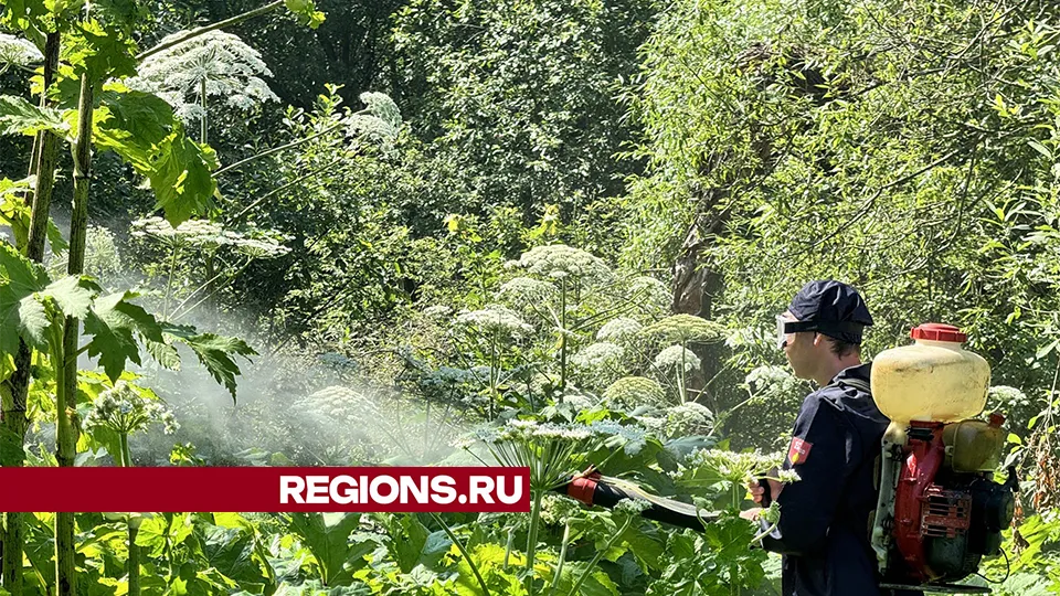 Фото: Татьяна Рунова