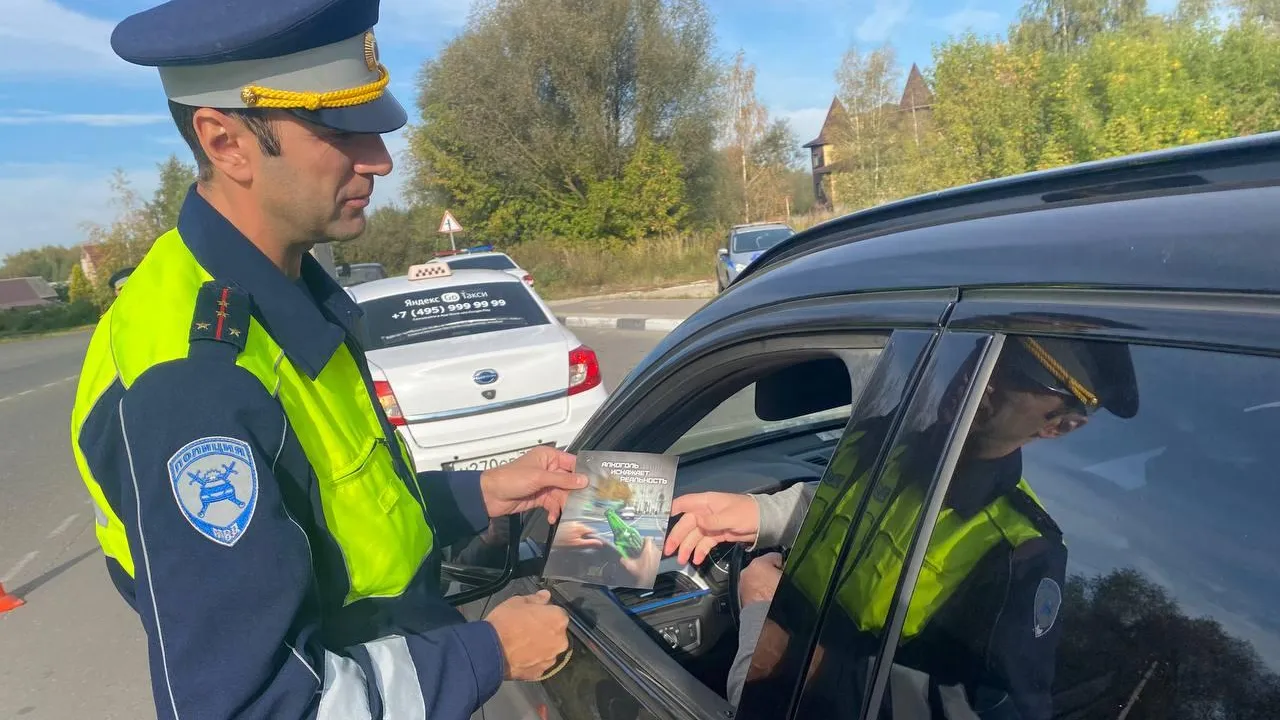 Источник: пресс-служба ГИБДД по городскому округу Павловский Посад