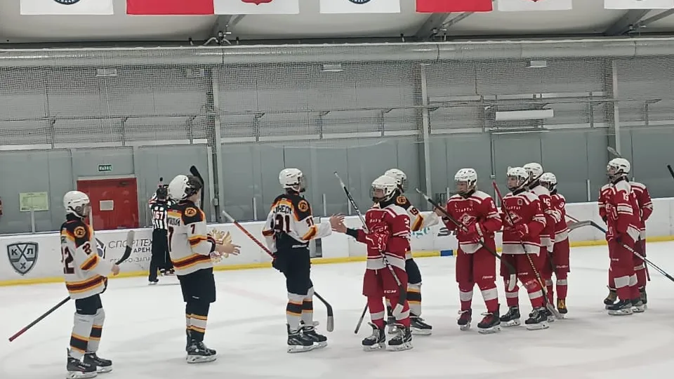 Фото: управление по физической культуре и спорту администрации г. о. Электросталь