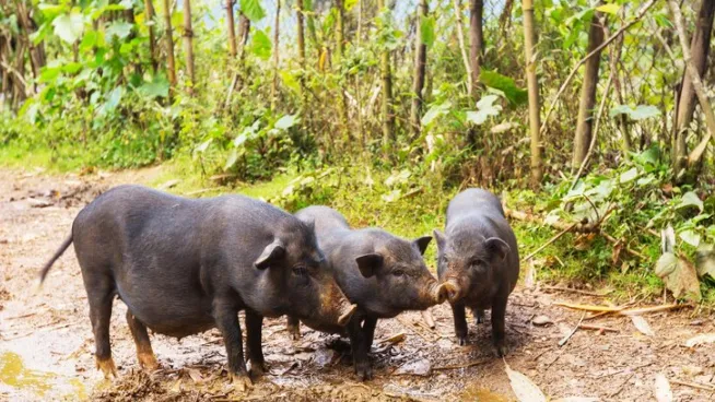 Фото: freepik.com