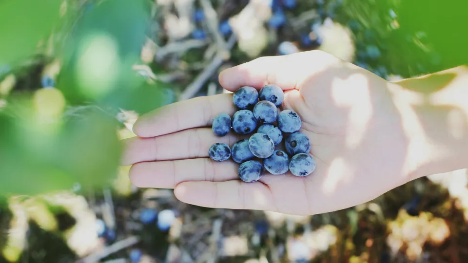 Фото: unsplash.com