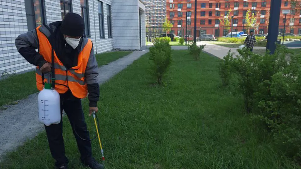 Фото: пресс-служба администрации г.о. Одинцово