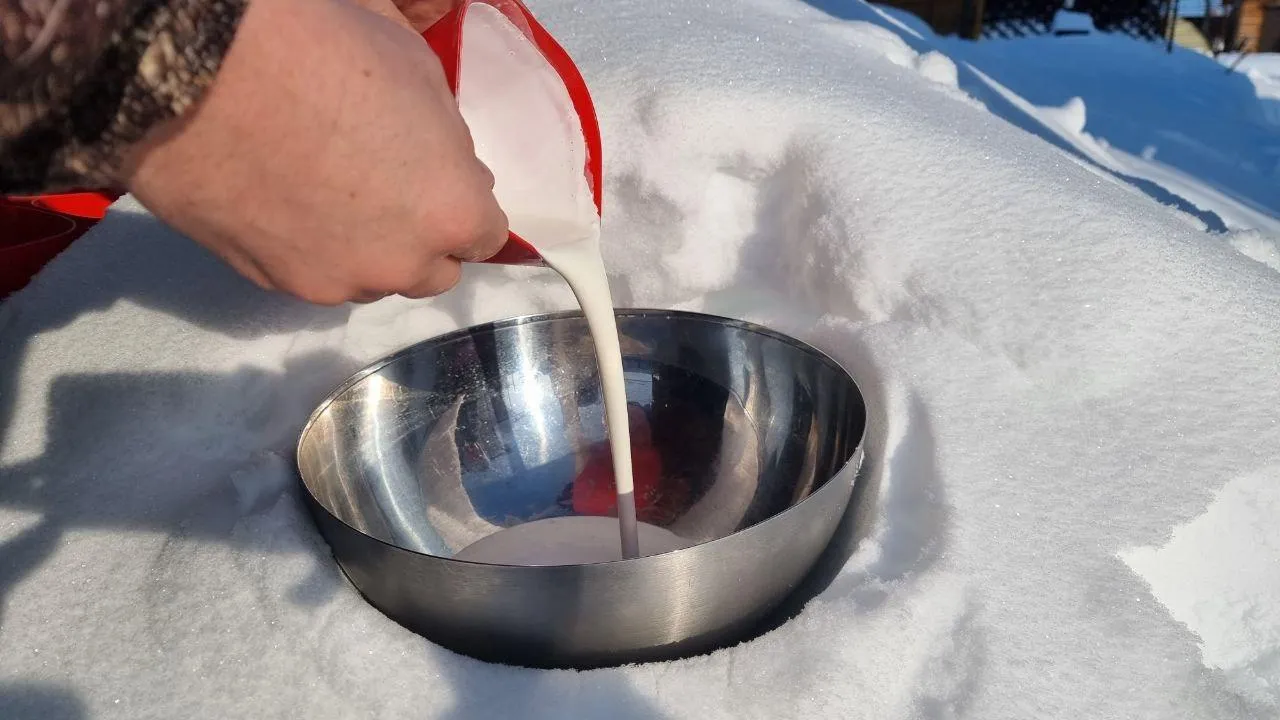 REGIONS/Юлия Алабина