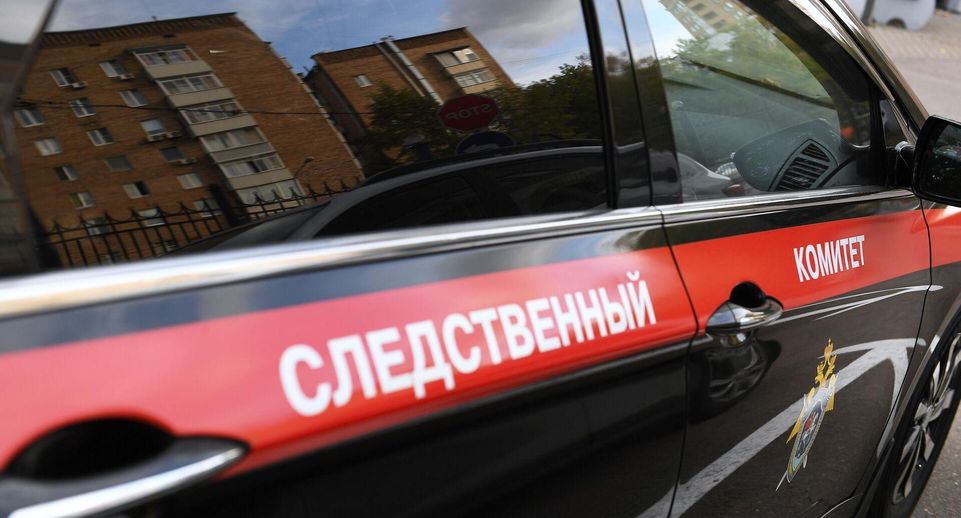 СК: в Лобне мужчину задержали за истязания дочери