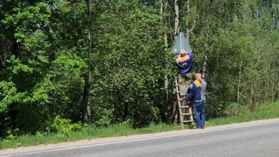 Фото: Минтранс МО