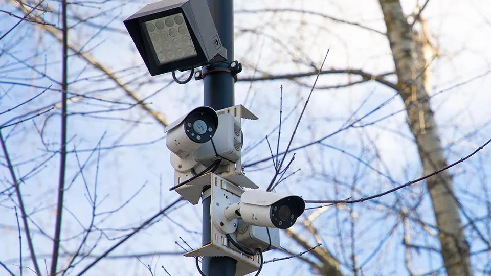 Фото: пресс-служба губернатора и правительства Московской области