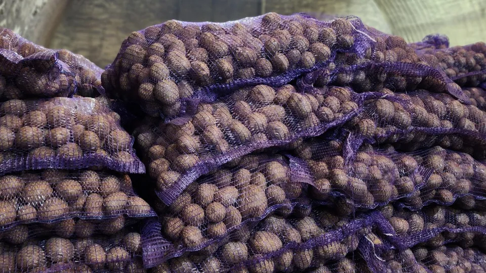 Фото: МедиаБанк Подмосковья/Валентина Максимова