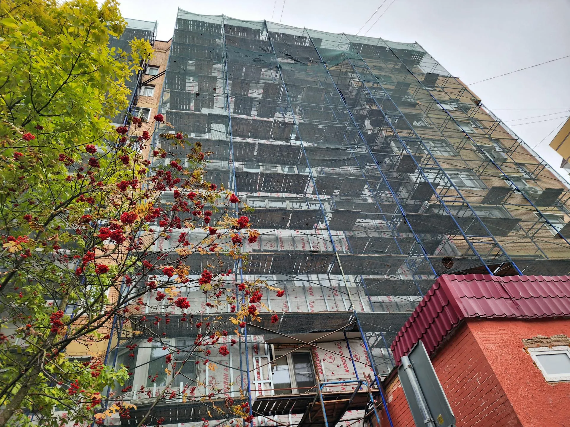 Фото: МедиаБанк Подмосковья/Евгения Герасимова&nbsp;