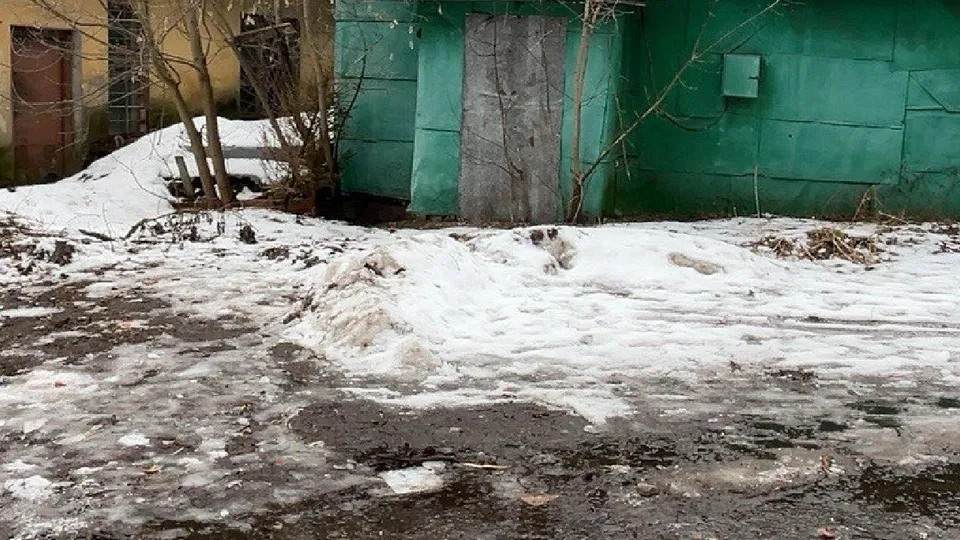 Фото: пресс-служба администрации Одинцовского городского округа