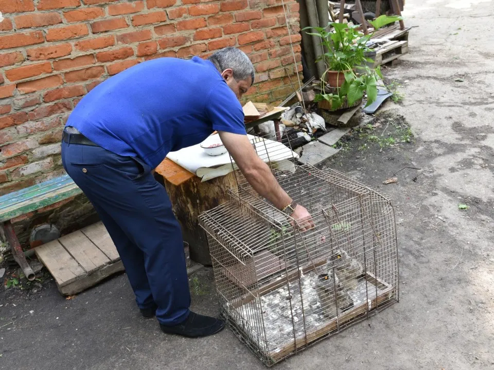 Фото: Владимир Останин