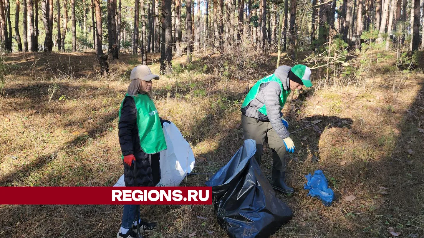 Фото: Андрей Семибратов