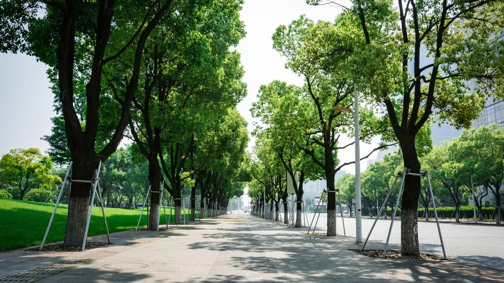 Фото: freepik.com